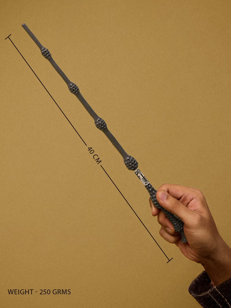 Professor Dumbledore's Wand