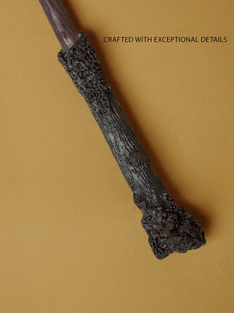 Harry Potter's Wand