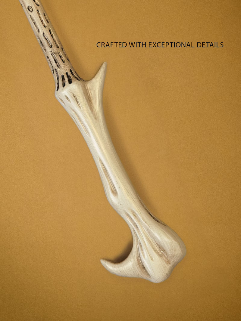 Lord Voldemort's Wand