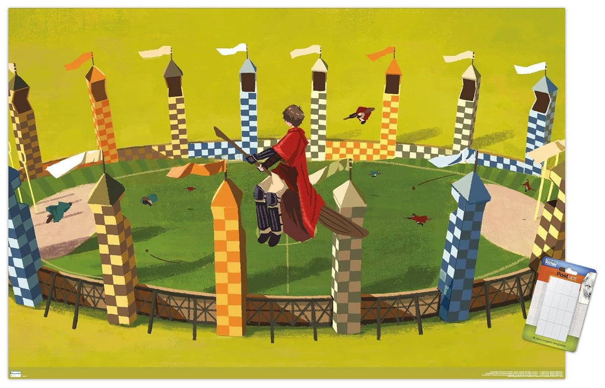 Quidditch Seeker Flight Poster